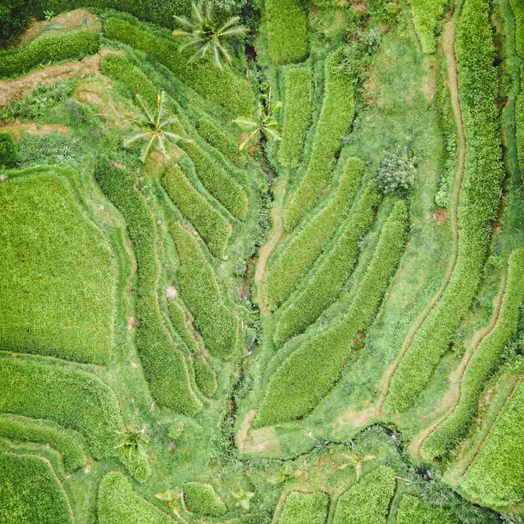 Kids playground area in Netherlands